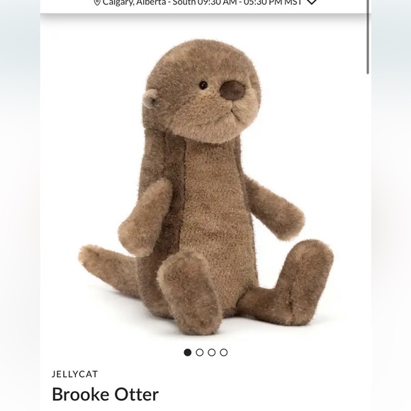 Jellycat Other - Jellycat Furry Brown Otter Plush